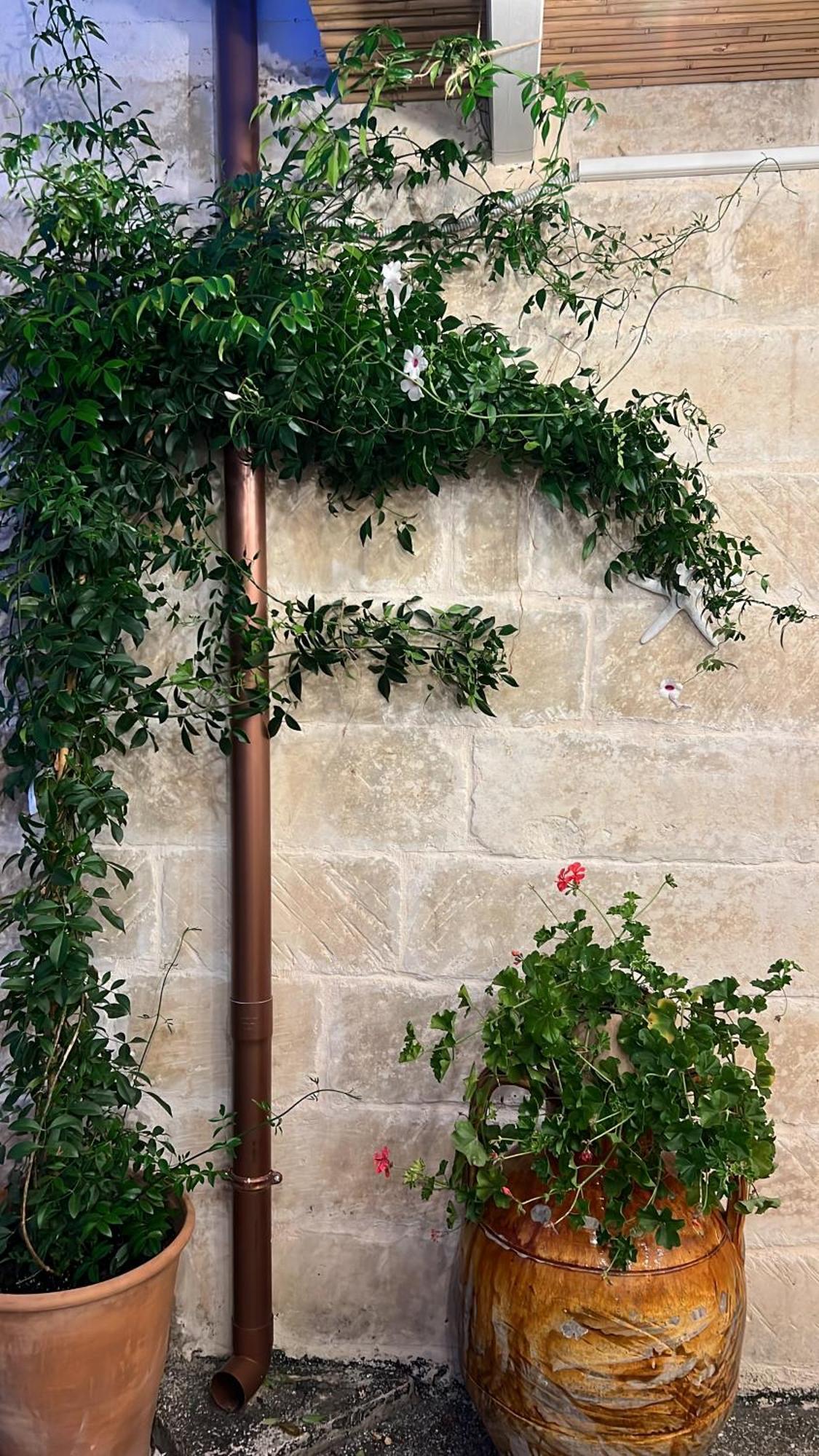 Suite Battisti 7 Lecce Bagian luar foto