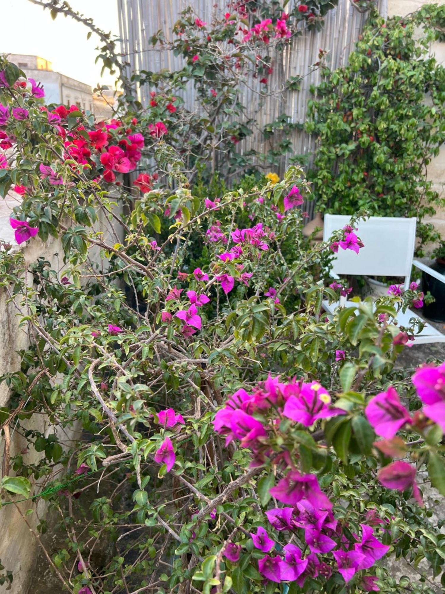 Suite Battisti 7 Lecce Bagian luar foto