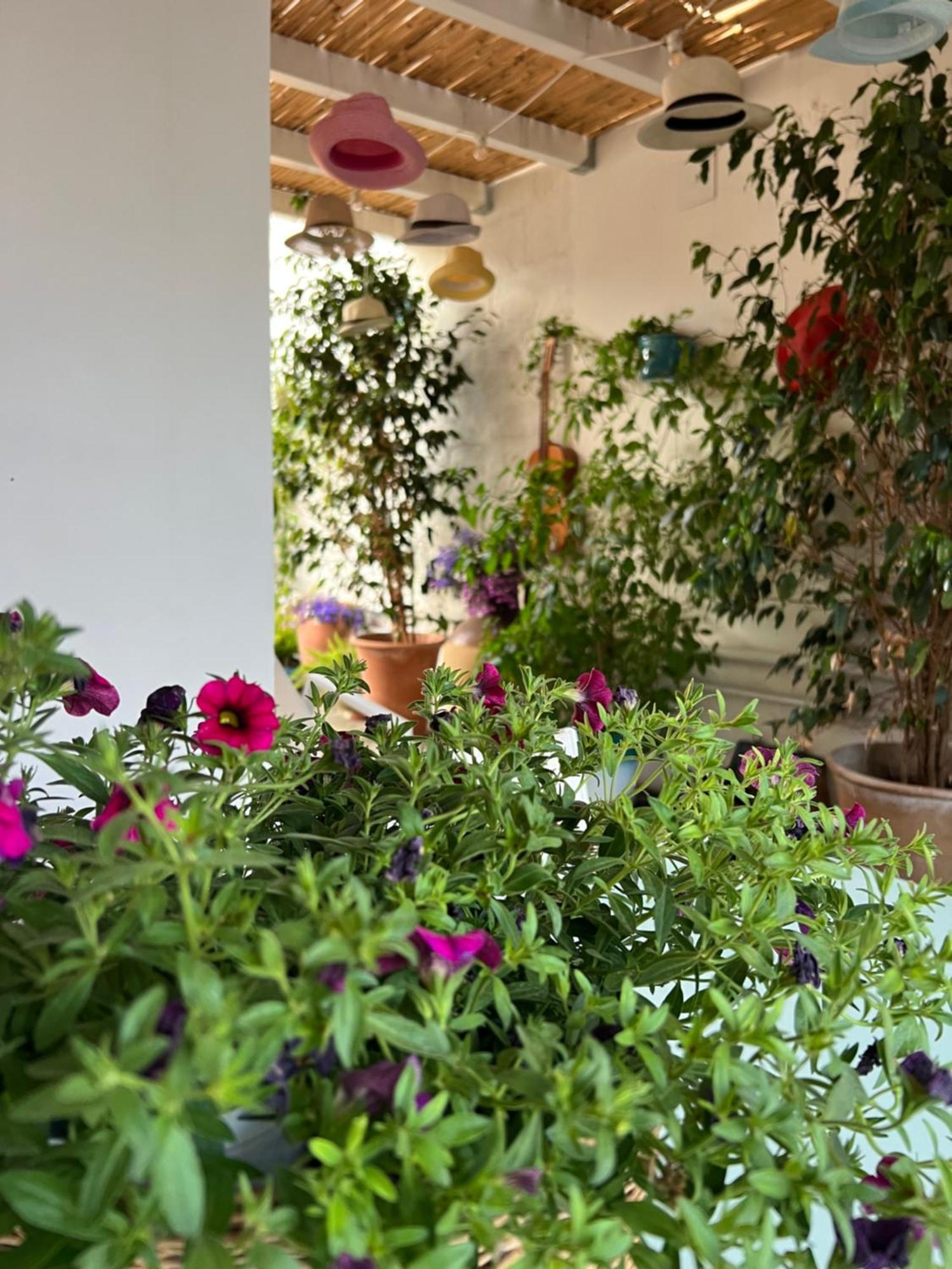 Suite Battisti 7 Lecce Bagian luar foto